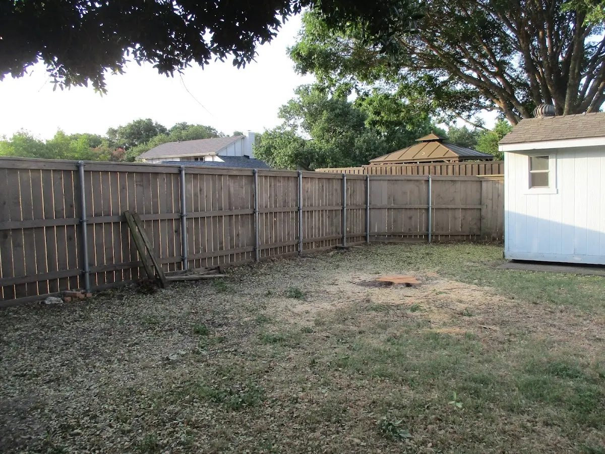 Cleared yard after professional tree removal in Center Valley