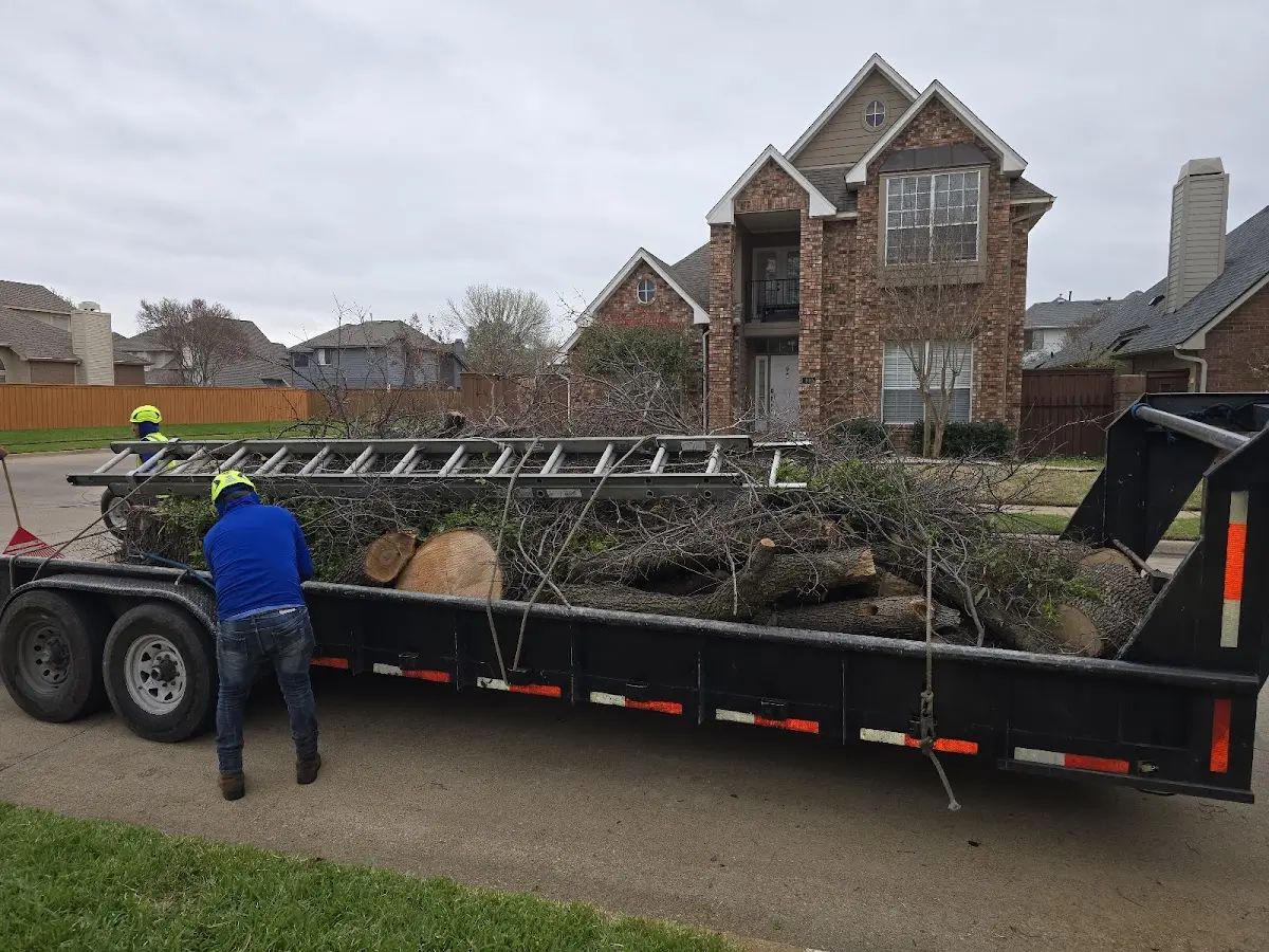 Expert Tree Removal with proper safety equipment in Center Valley